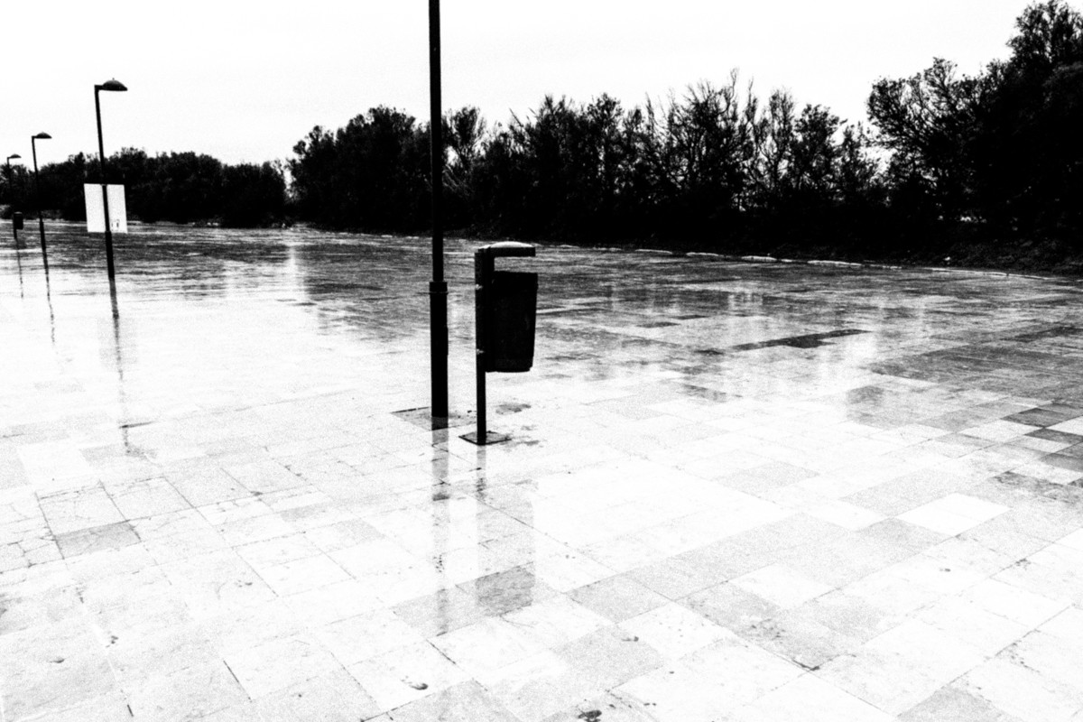 "Despus de la lluvia" de Abel Puche Alifa