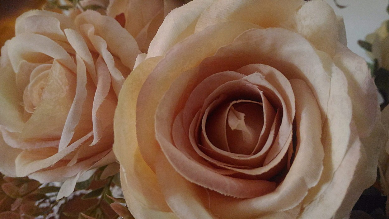 "A busca de motivos e as rosas de seda." de Decio Badari