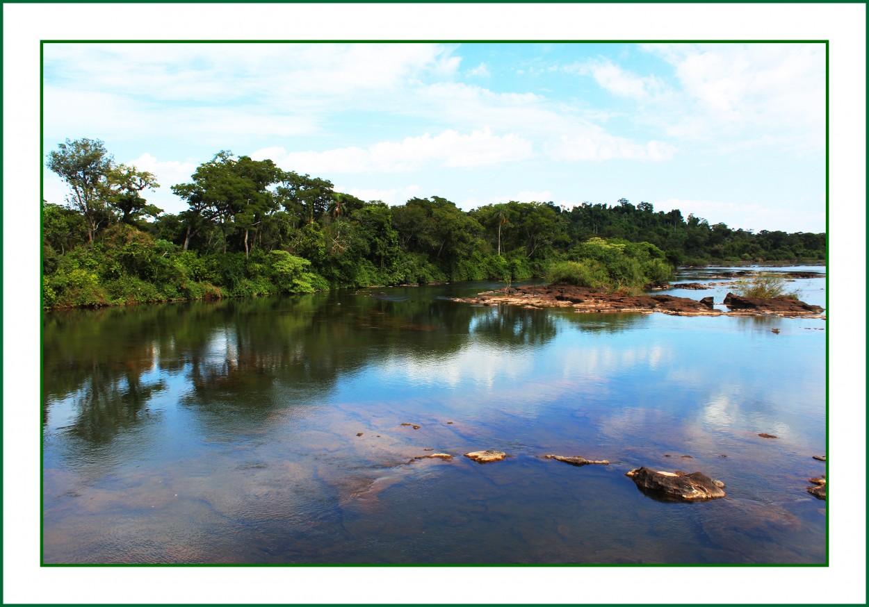 "Parque Nacional Iguaz" de Silvia Emilia Guerra