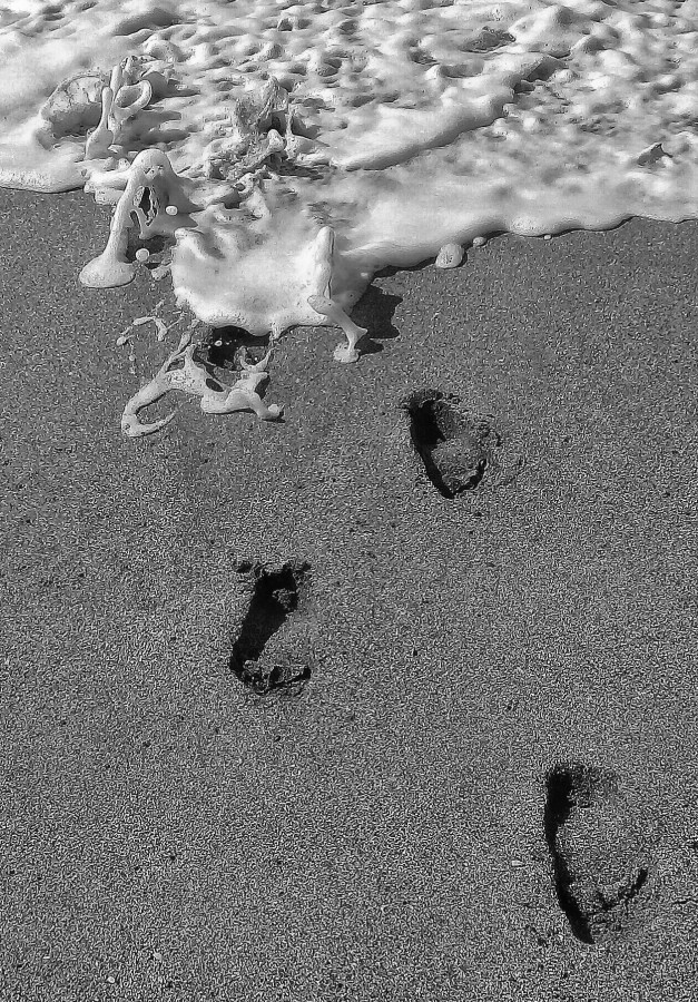 "El mar borra toda huella" de Roberto Guillermo Hagemann