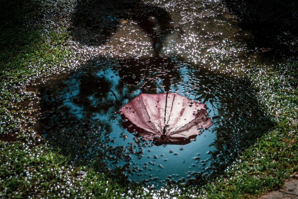 "Reflejos de paraguas" de Ricardo Terzoli