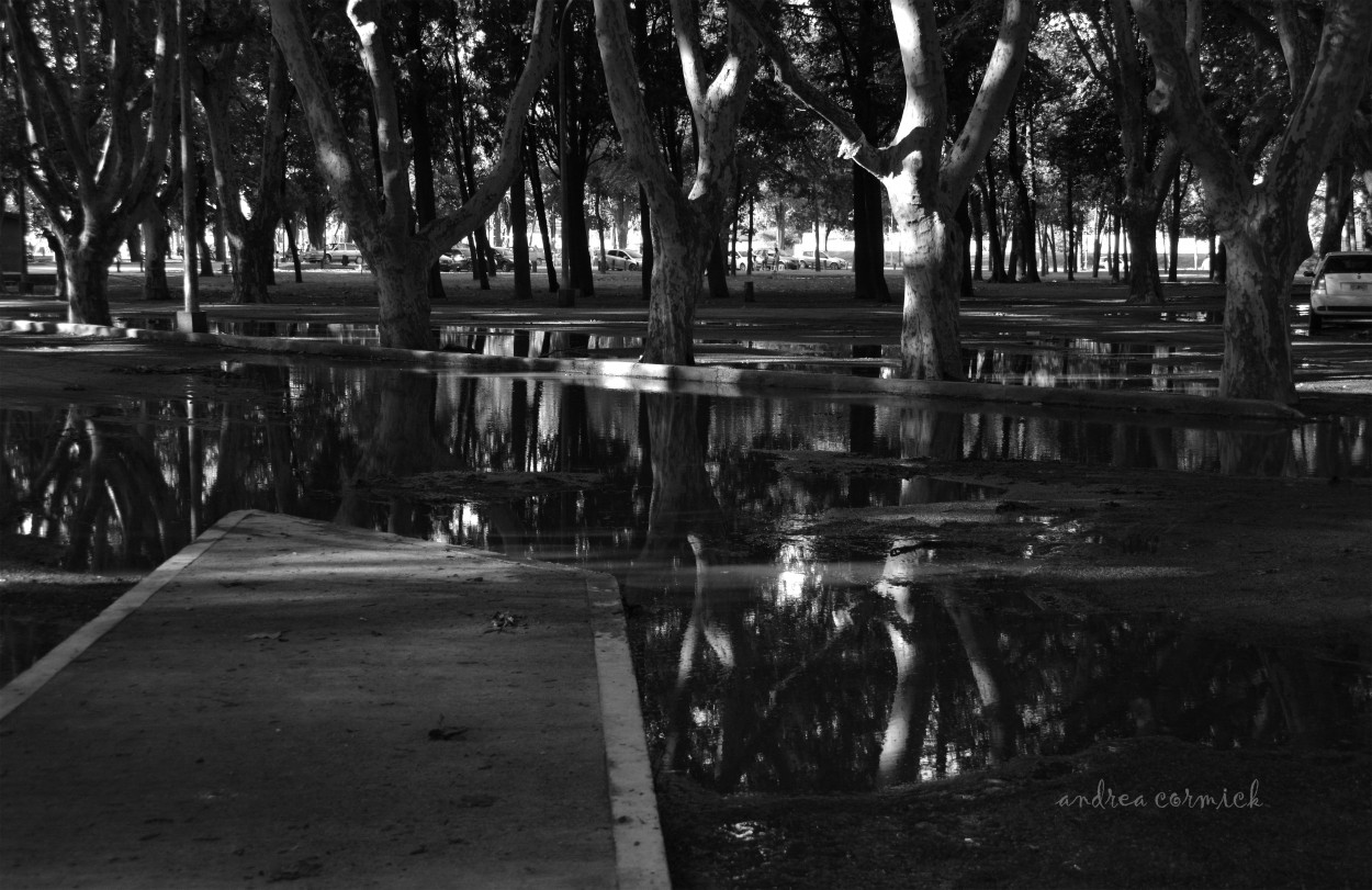 "reflejos en el parque" de Andrea Cormick
