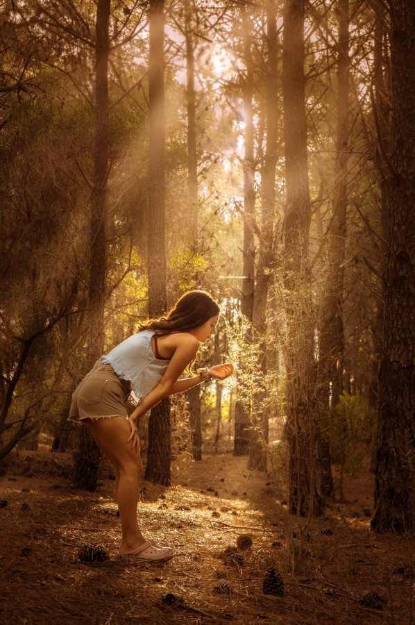 "Bosque encantado" de Lorna Aguirre
