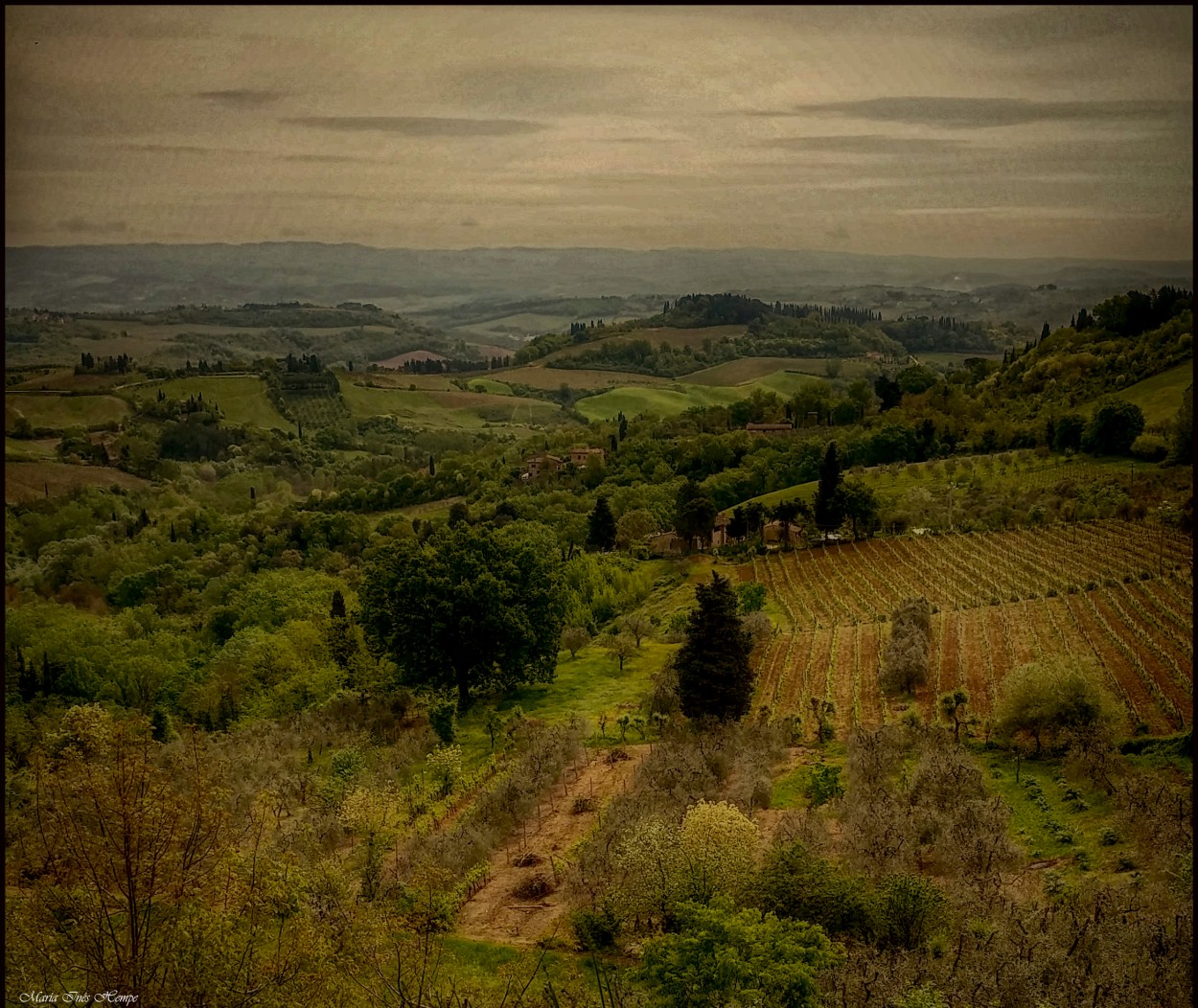 "En La Toscana..." de Mara Ins Hempe