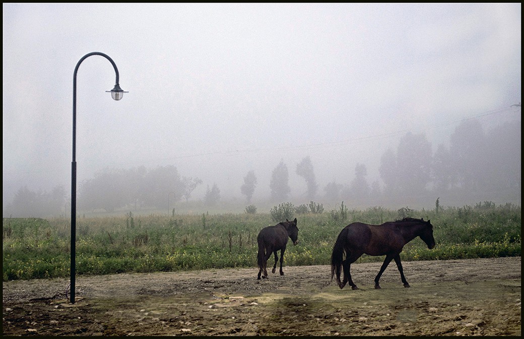 "El comienzo de un neblinoso dia" de Ruben Perea