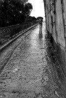 Romanticismo de andar bajo la lluvia