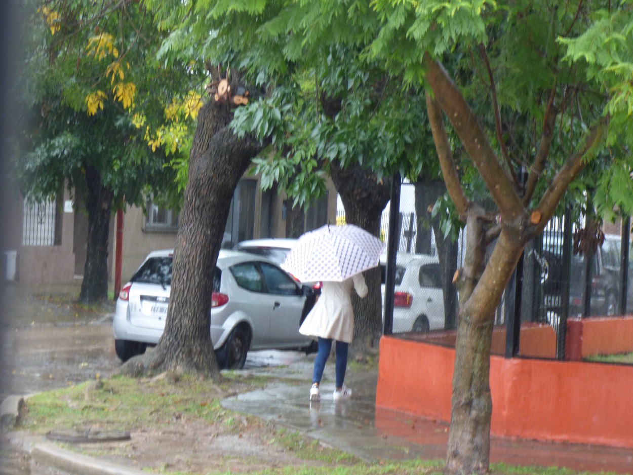 "` Caminar bajo la lluvia `" de Graciela Edith Flocco