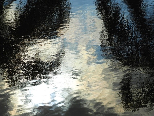 "Amanhecer no lago, entre luz, sombras e reflexos" de Decio Badari