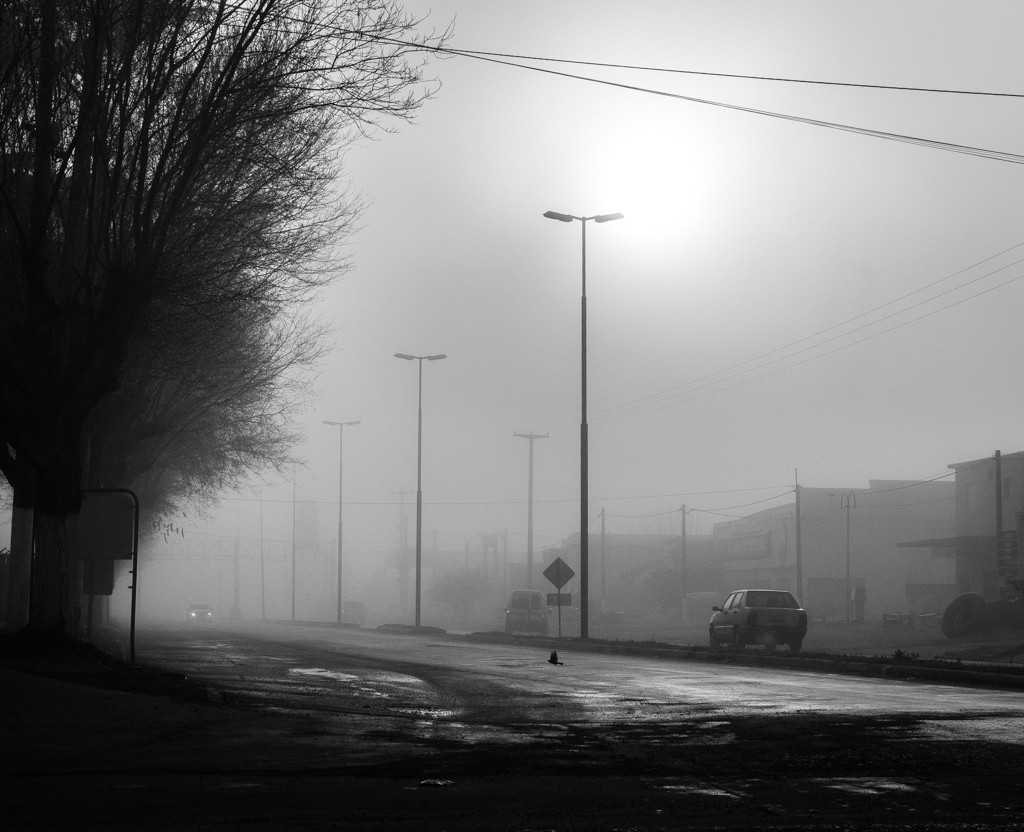 "Niebla en la ruta" de Fernando Valdez Vazquez