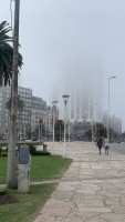 La niebla