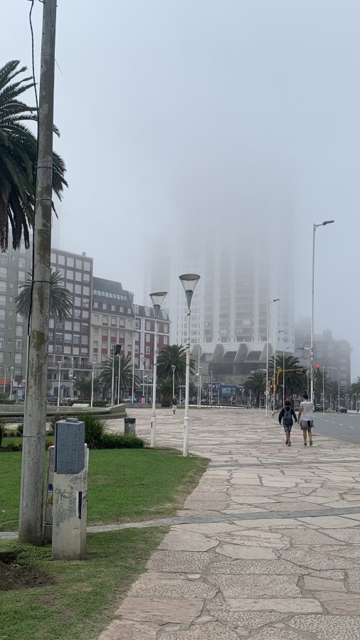 "La niebla" de Carlos Salto