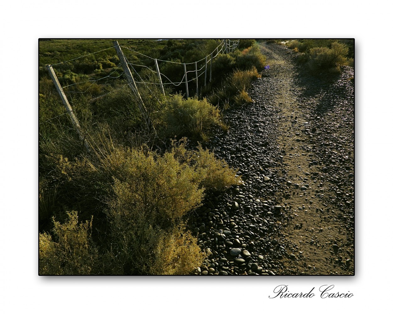 "Alambre, piedra y camino" de Ricardo Cascio