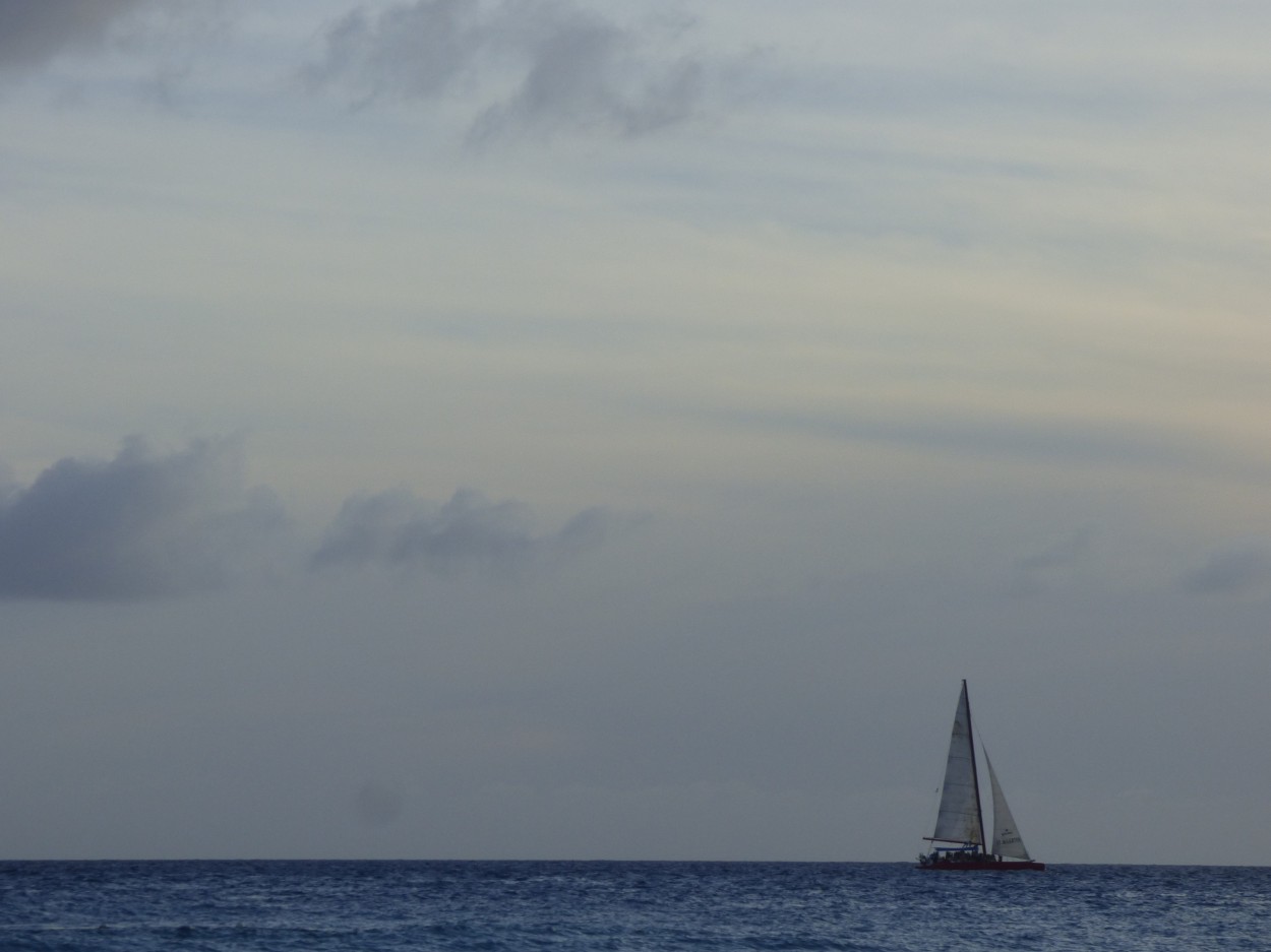 "` Navegar a vela `" de Graciela Edith Flocco