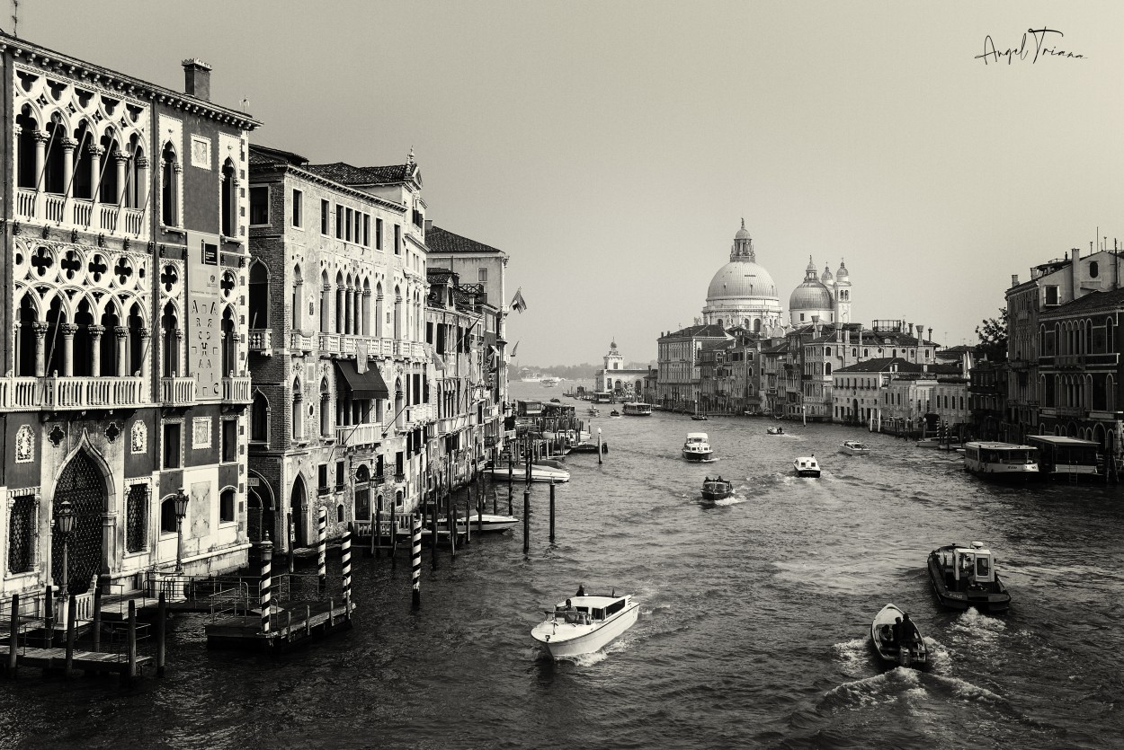 "Mi Venecia..." de Angel Triana