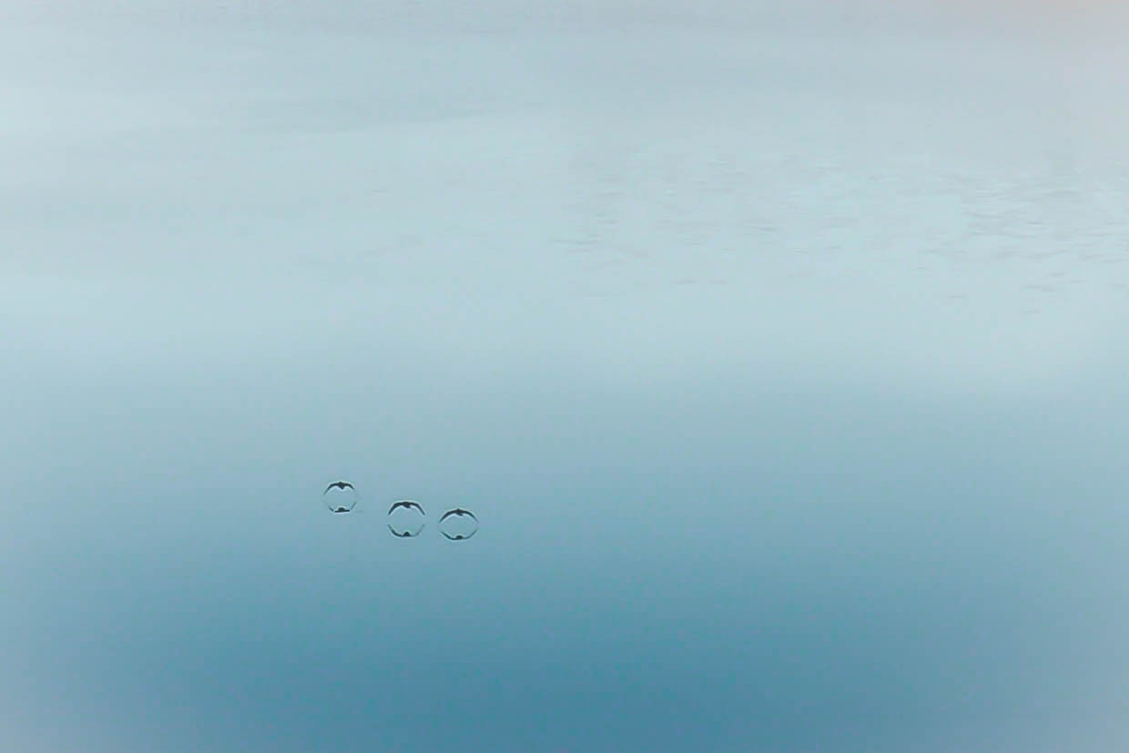 "Reflejos en el lago" de Hctor Venezia