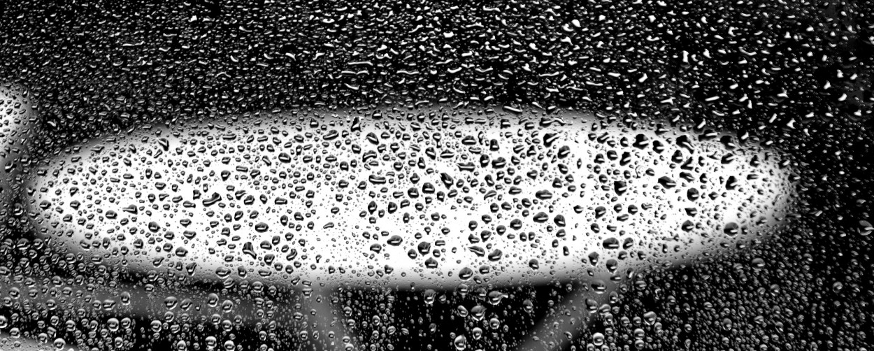 "Um olhar aps as chuvas da tarde." de Decio Badari