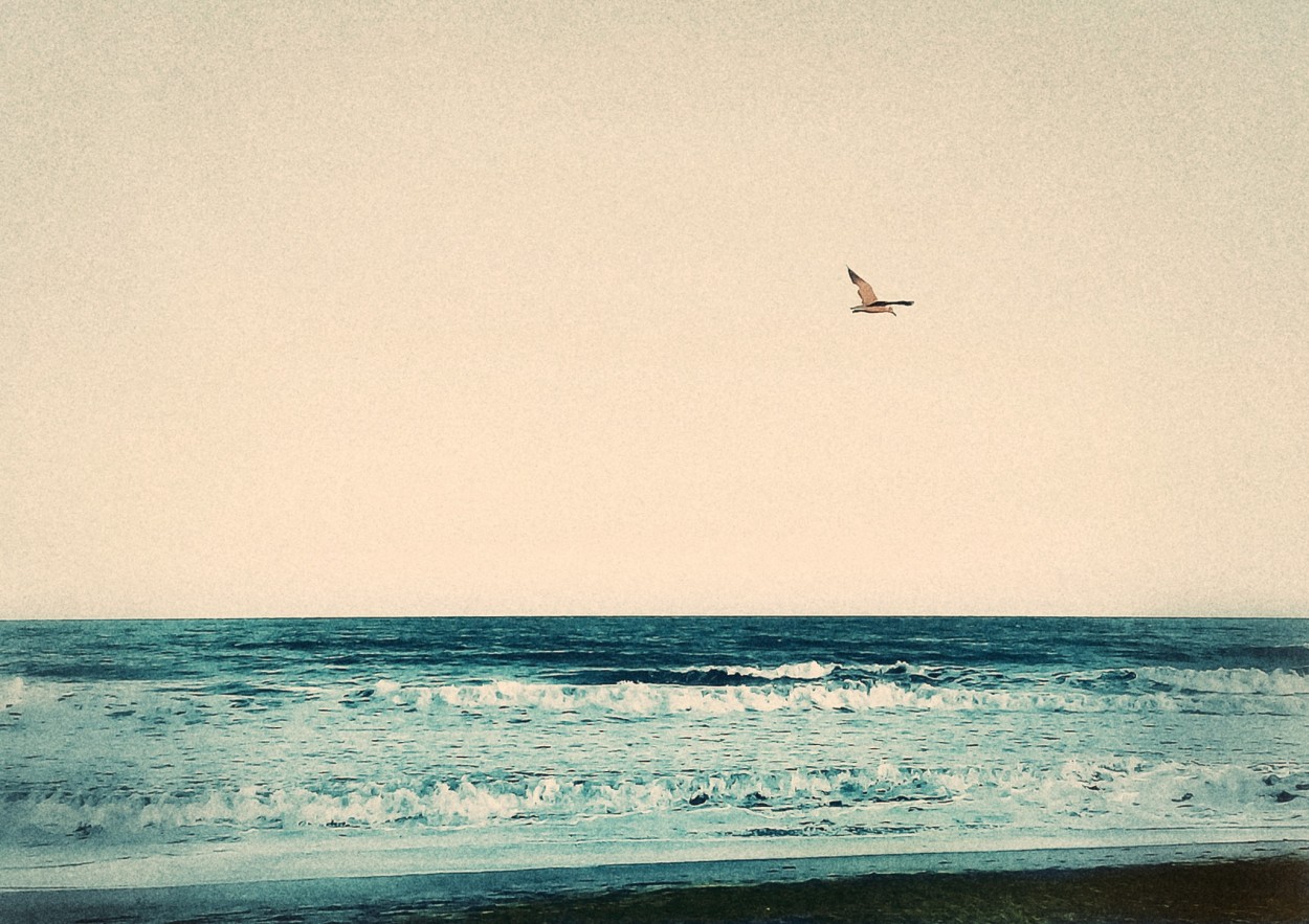 "Volar onrico sobre el mar" de Roberto Guillermo Hagemann