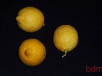 frutos.:limones
