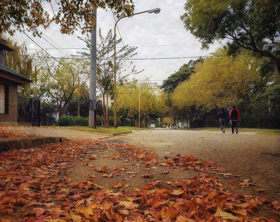 "Autumn" de Marzioni Martn Luis