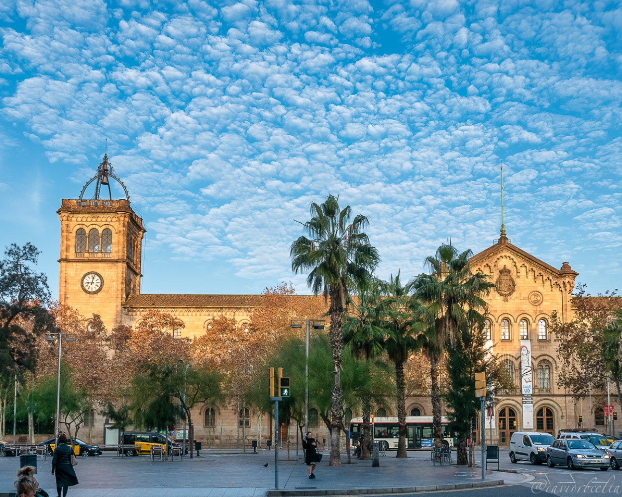 "Universitat de Barcelona" de David Roldn