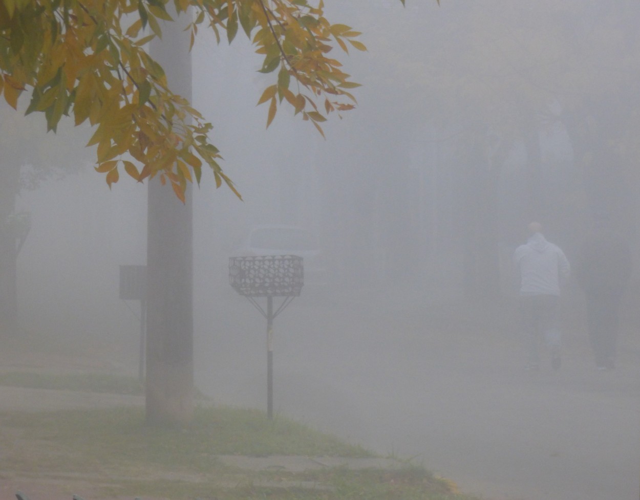 "` Caminar bajo la niebla `" de Graciela Edith Flocco