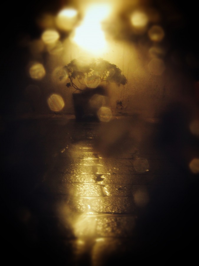 "Sobre llovido..." de Florencia Alvarez