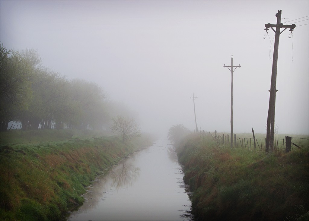 "El canal y la niebla" de Fernando Valdez Vazquez