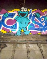 the subway cookie monster