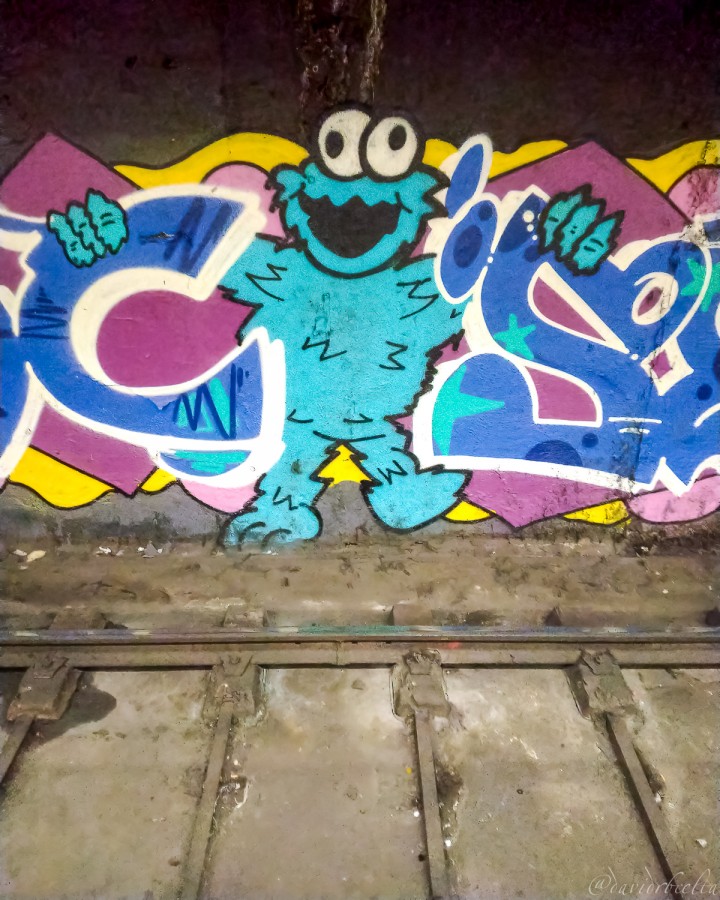 "the subway cookie monster" de David Roldn
