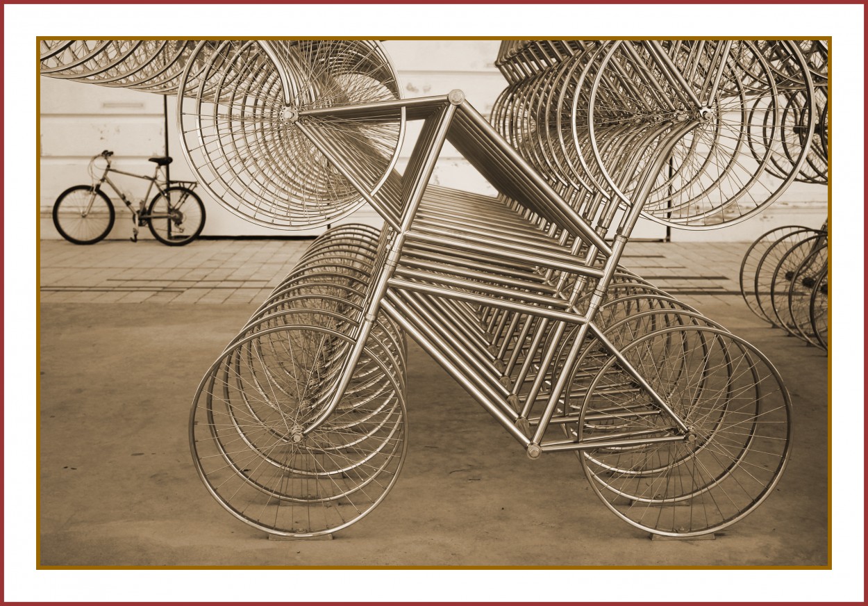 "La Bicicleta..." de Silvia Emilia Guerra