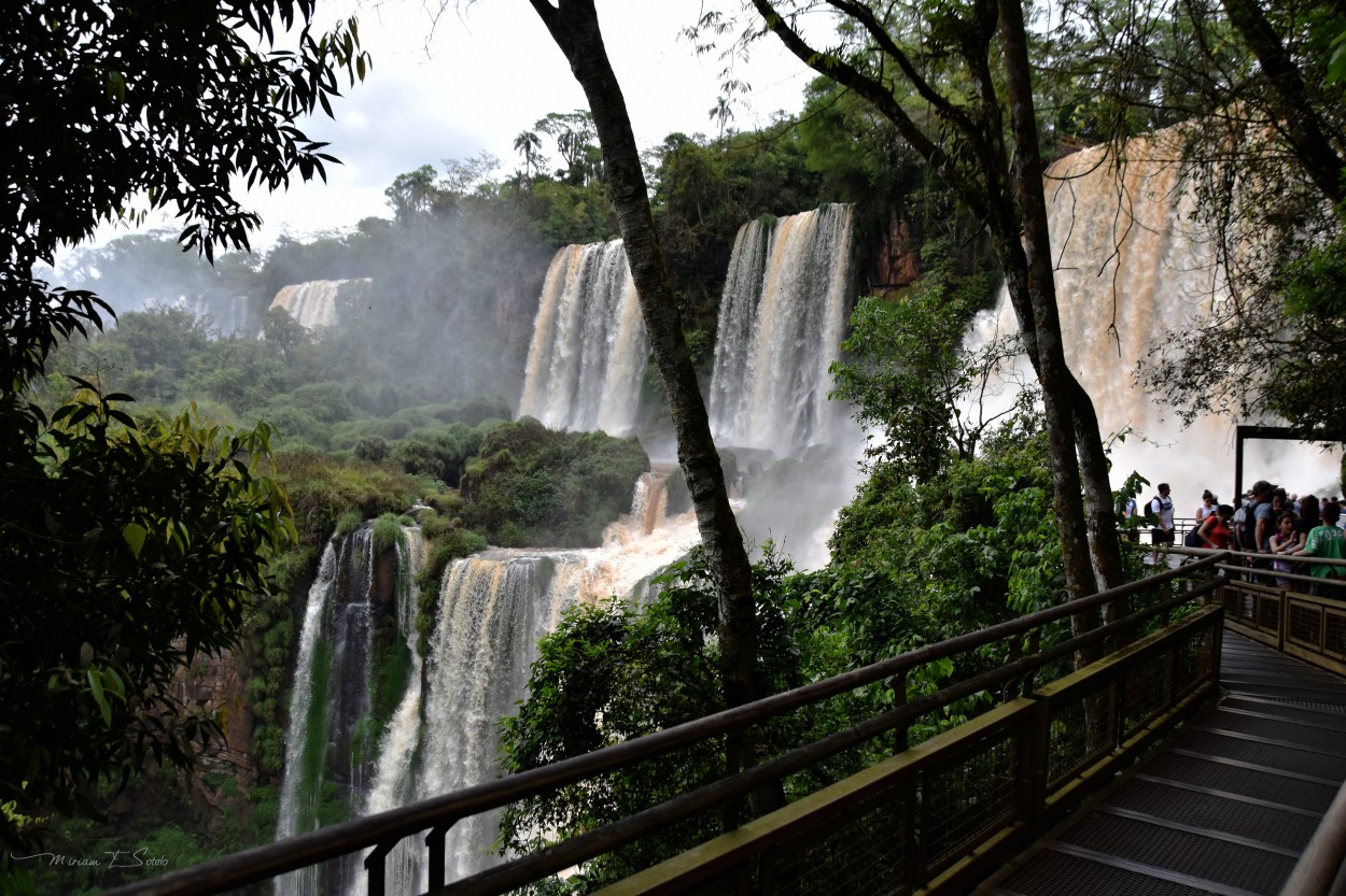 "Cataratas de Iguaz" de Miriam E. Sotelo