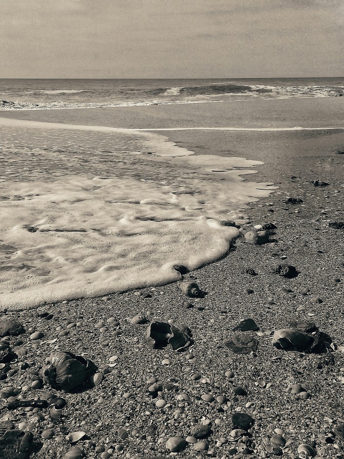 "Restos de la marea" de Roberto Guillermo Hagemann