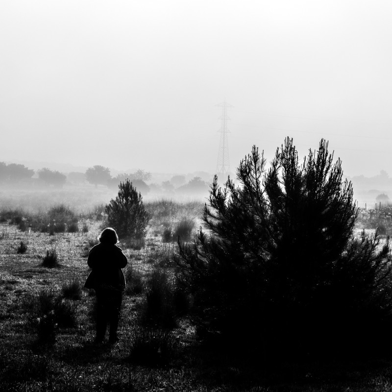 "Niebla" de Abel Puche Alifa