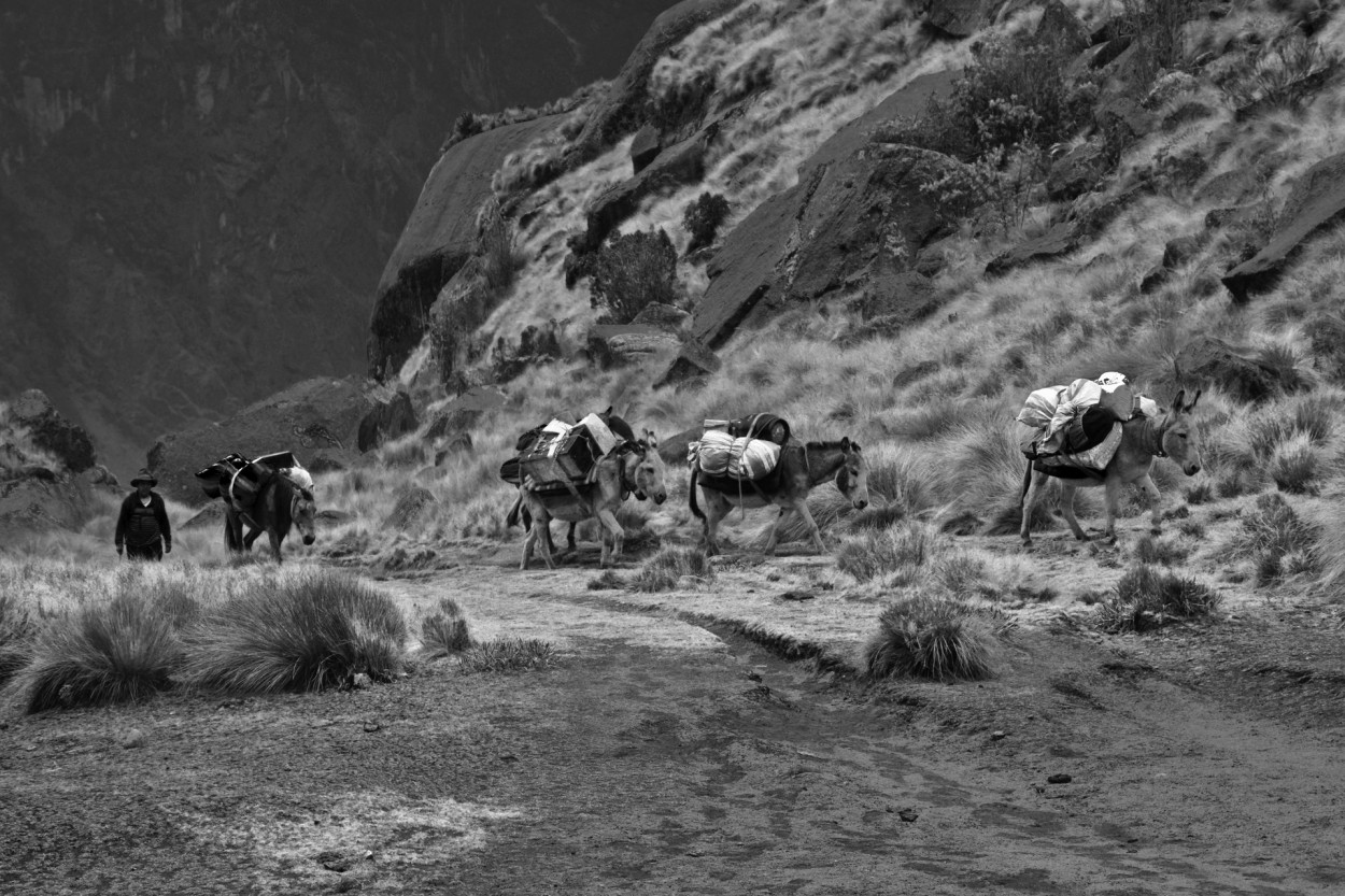 "Porteadores de la Cordillera Blanca" de Osvaldo Sergio Gagliardi