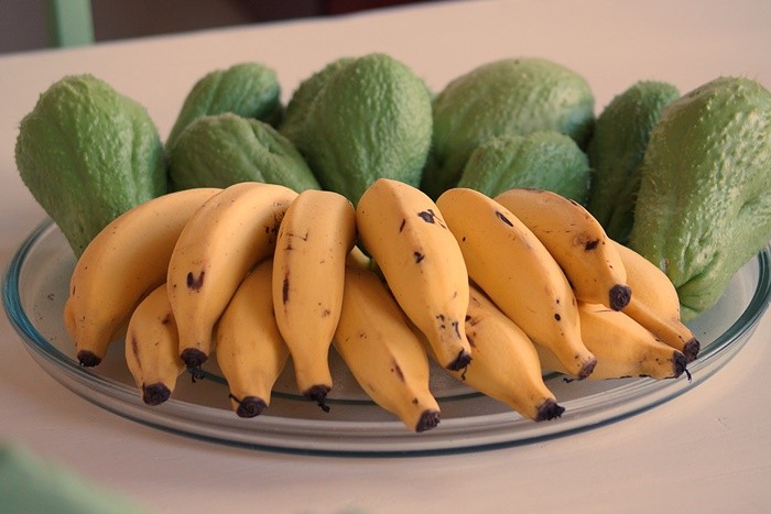 "Os Xuxs do nosso jardim as Bananas da feira" de Decio Badari