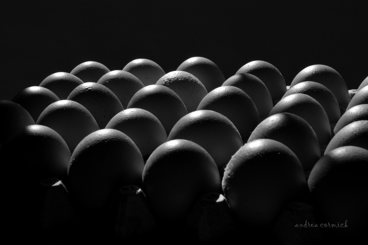 "otros huevos..." de Andrea Cormick