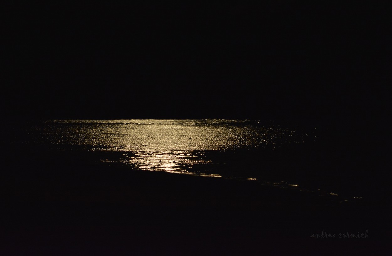 "`vi la luna, chorreando sin parar...." de Andrea Cormick