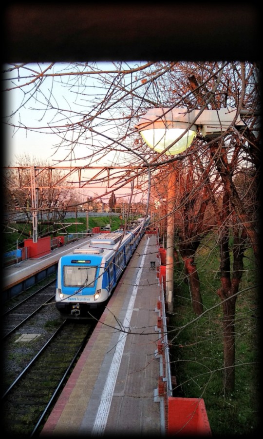 "Se va el tren....se va lejos...!!!" de Jorge Carlos Tarditi (carlos)