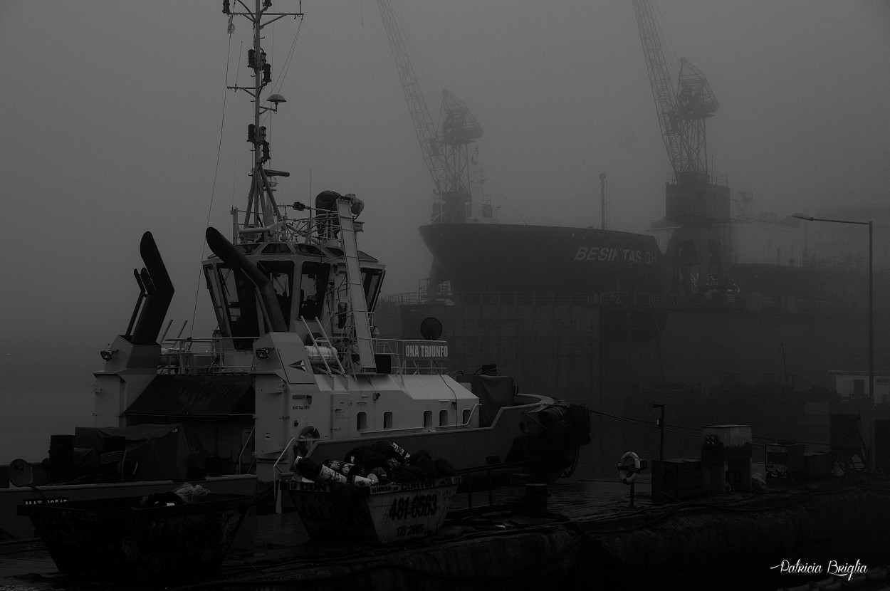 "Niebla en Mar del Plata" de Patricia Briglia