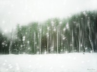 Un invierno en Tierra del Fuego - 1