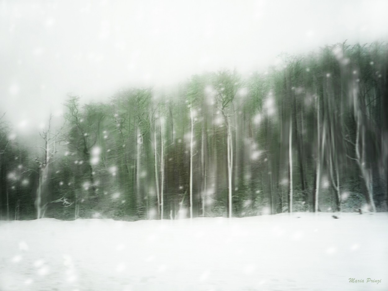 "Un invierno en Tierra del Fuego - 1" de Maria Prinzi