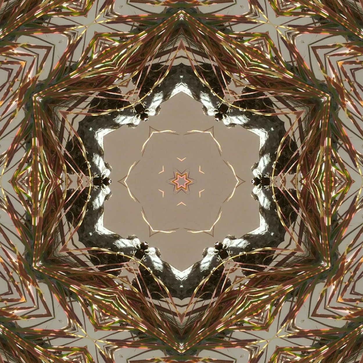 "Kaleidoscopio, presente que ganhava quando criana" de Decio Badari