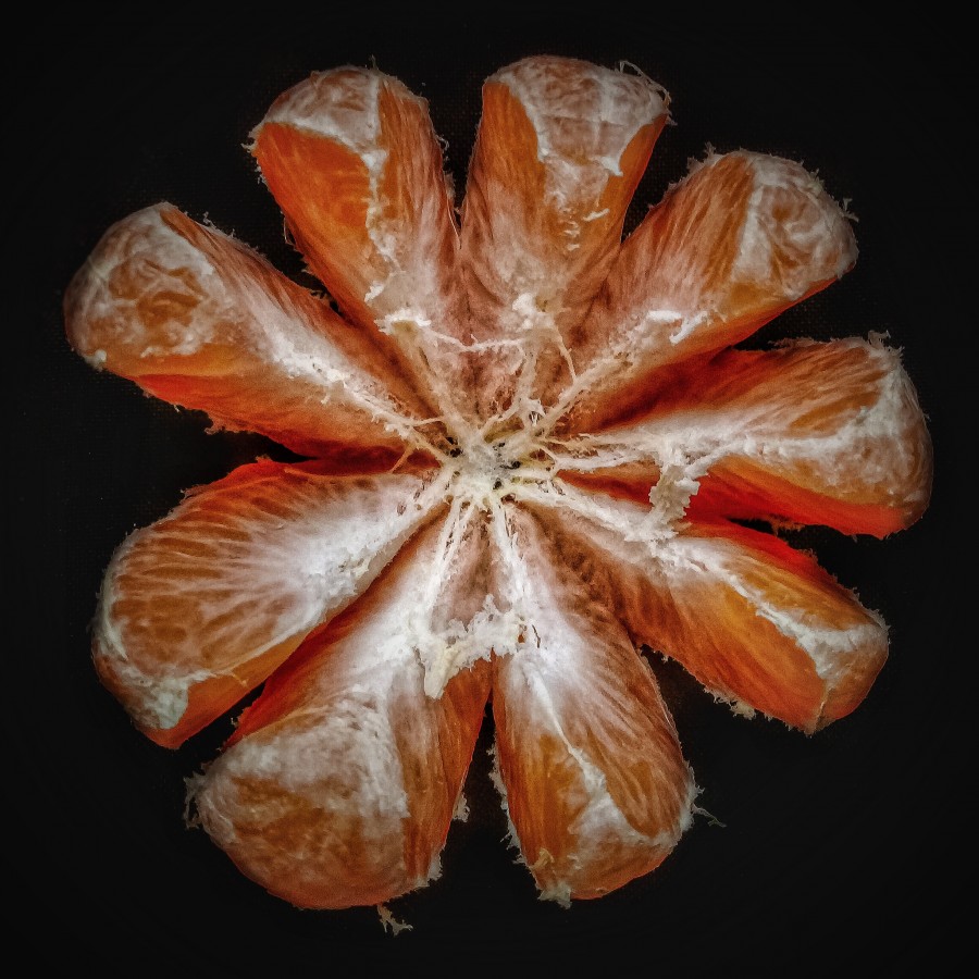 "poca de mandarinas" de Roberto Guillermo Hagemann