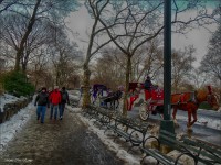 En el Central Park...