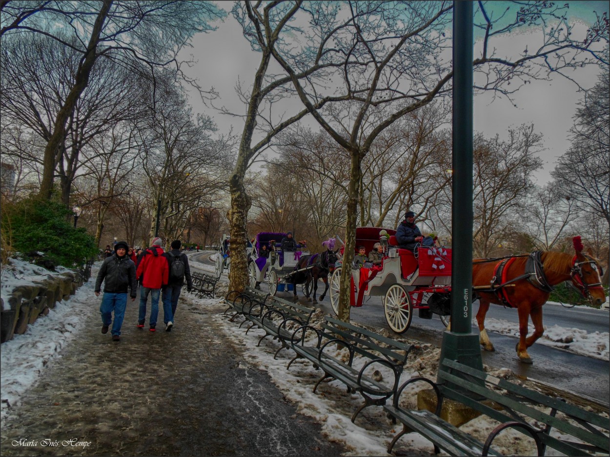 "En el Central Park..." de Mara Ins Hempe