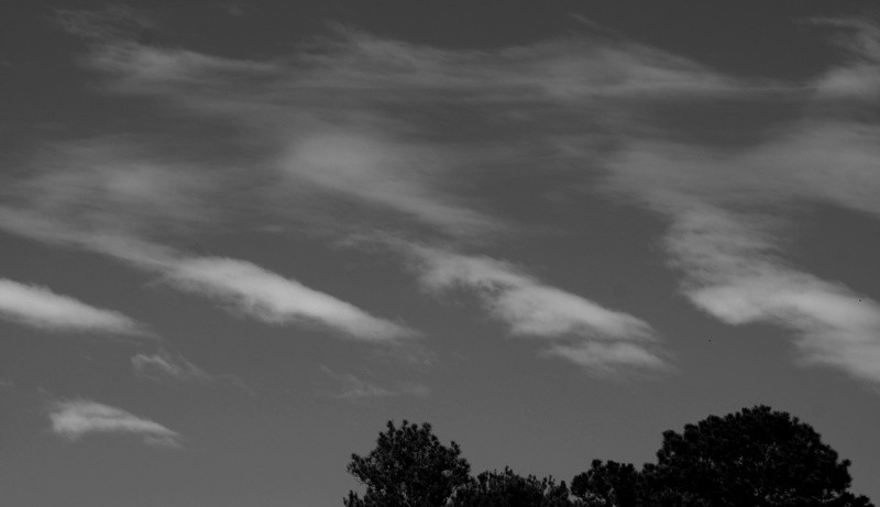 "No grande cenrio, as nuvens voadoras......" de Decio Badari