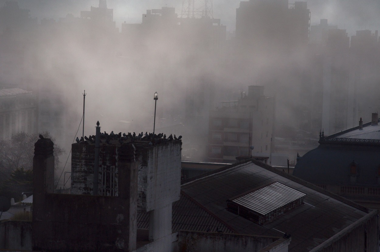 "Niebla en la ciudad" de Laura Nardo