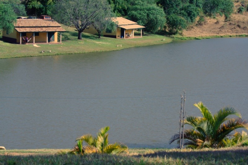"Todos querem casa no campo e um lago!" de Decio Badari