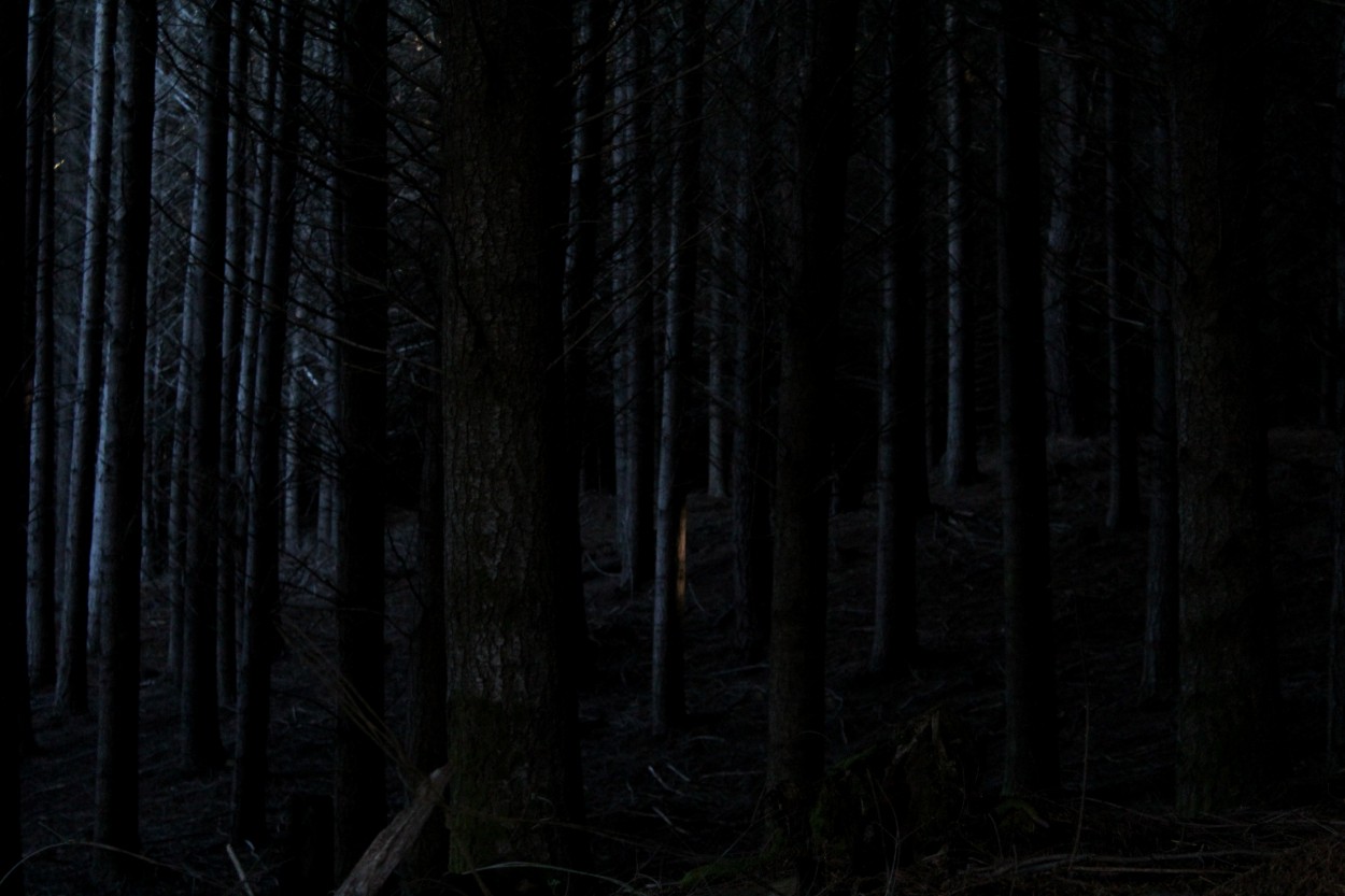 "Juguemos en el bosque, mientras el lobo no est" de Alejandra Cormick