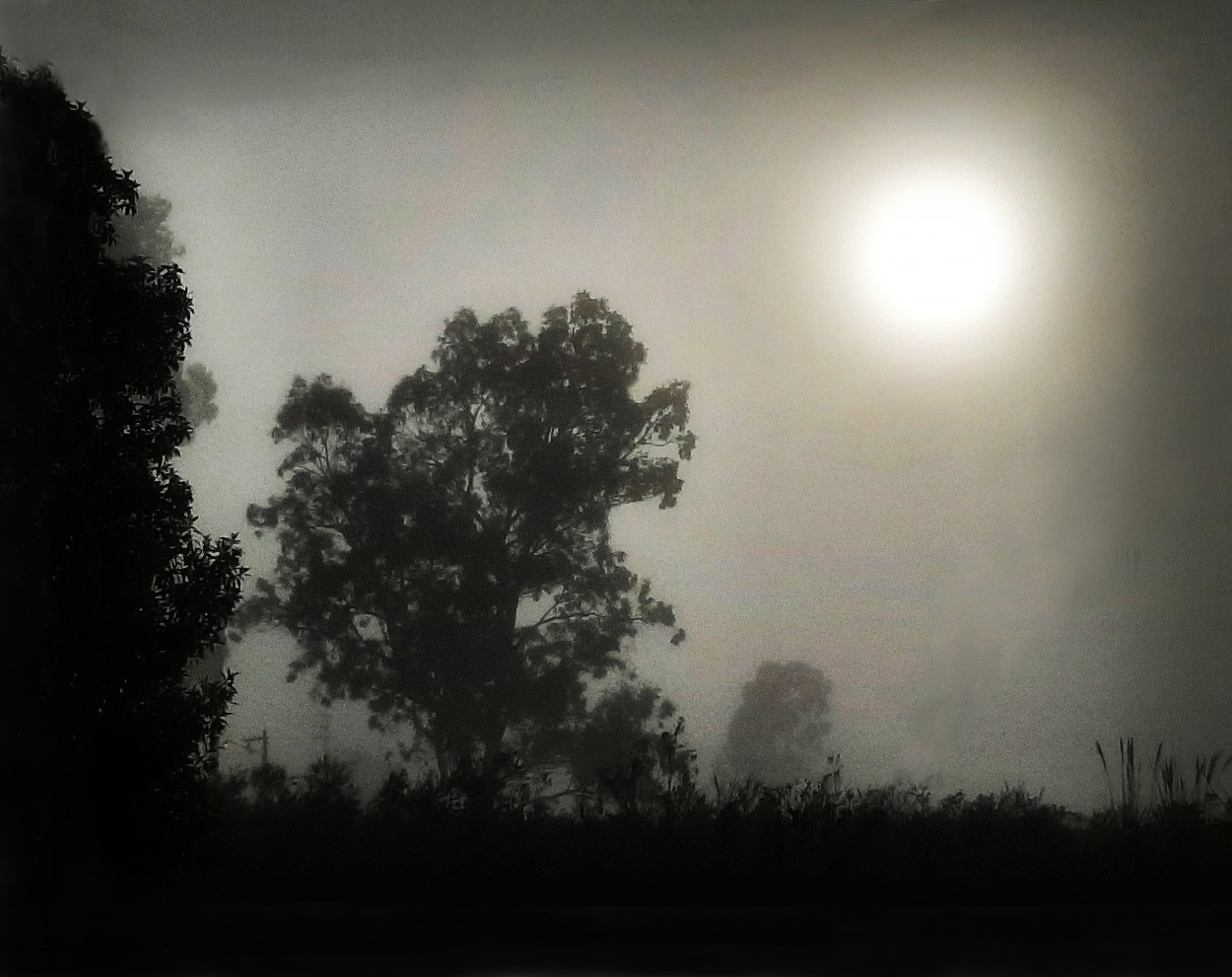 "Niebla y siluetas" de Kile Zabala